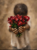 A child selling flowers on the street!